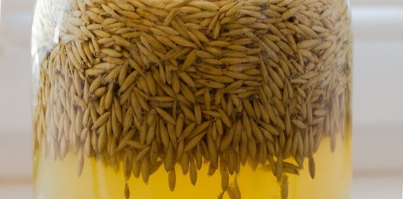 Квас из овса