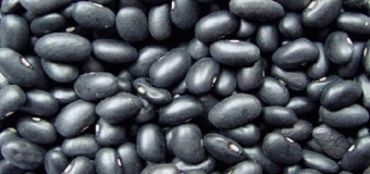 Черная фасоль